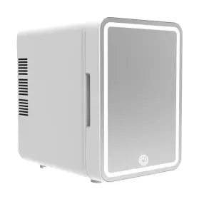 Portable 4L Mini Fridge in Botswana