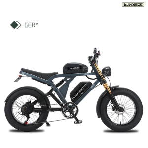 Electric Bicycle 48V 1500W in Botswana